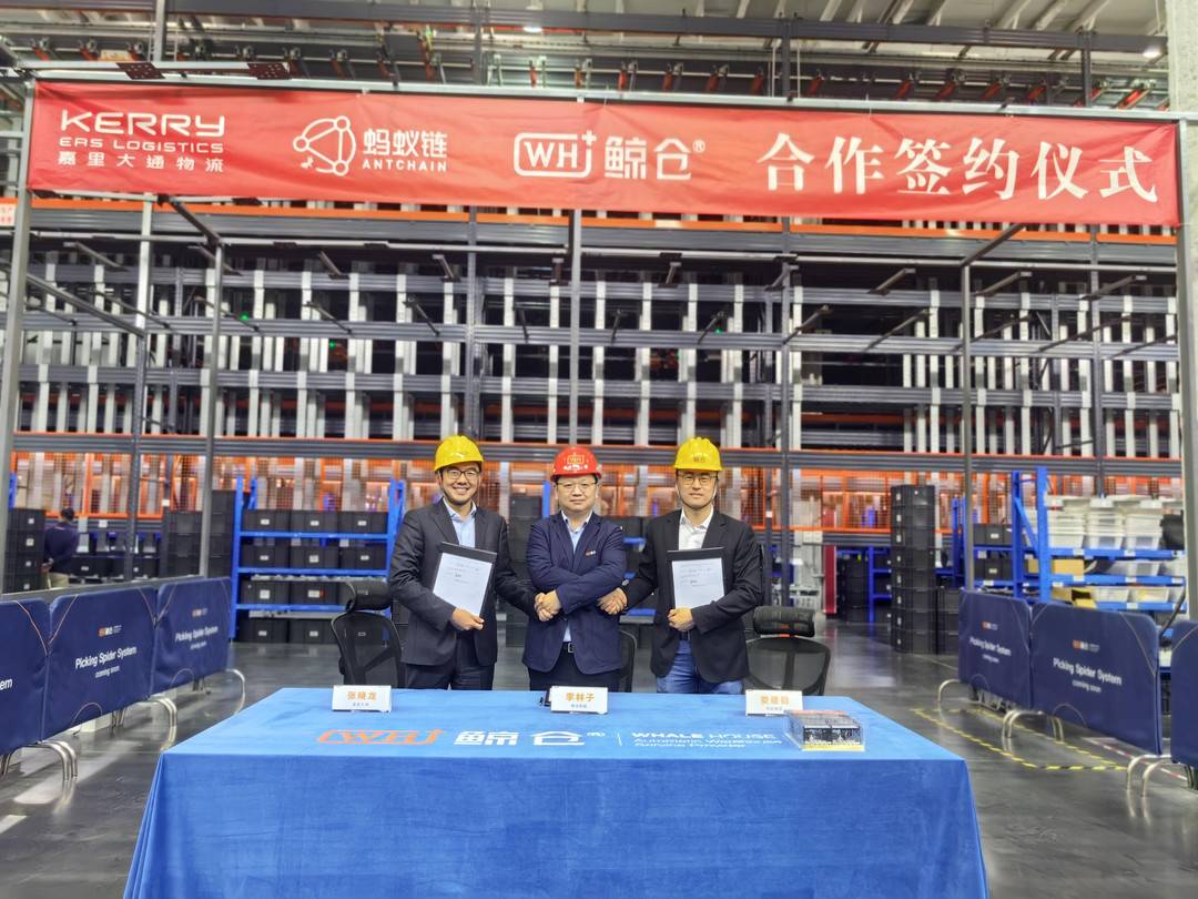 嘉里 鯨倉 螞蟻鏈